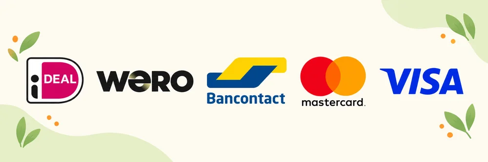 Betaalmethoden: iDEAL, Wero, Bancontact, Mastercard en Visa